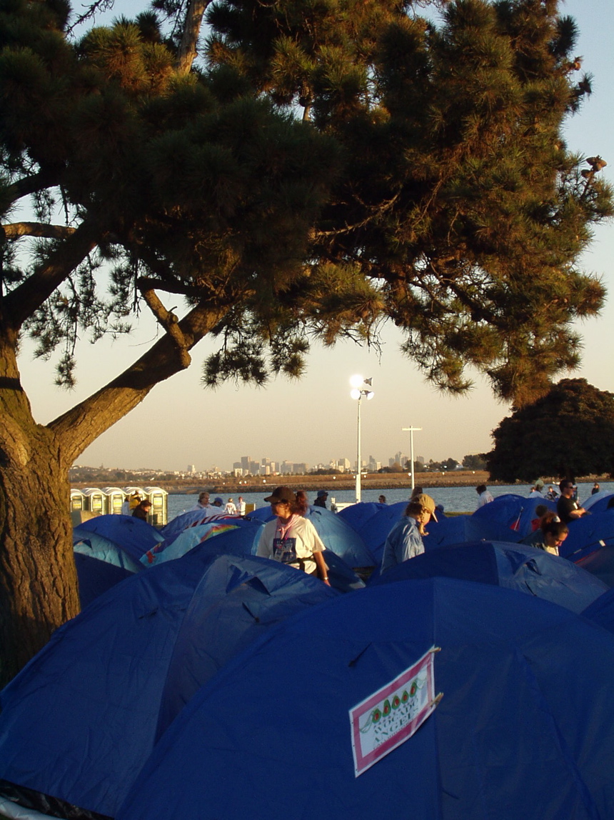 tents, tree, & city