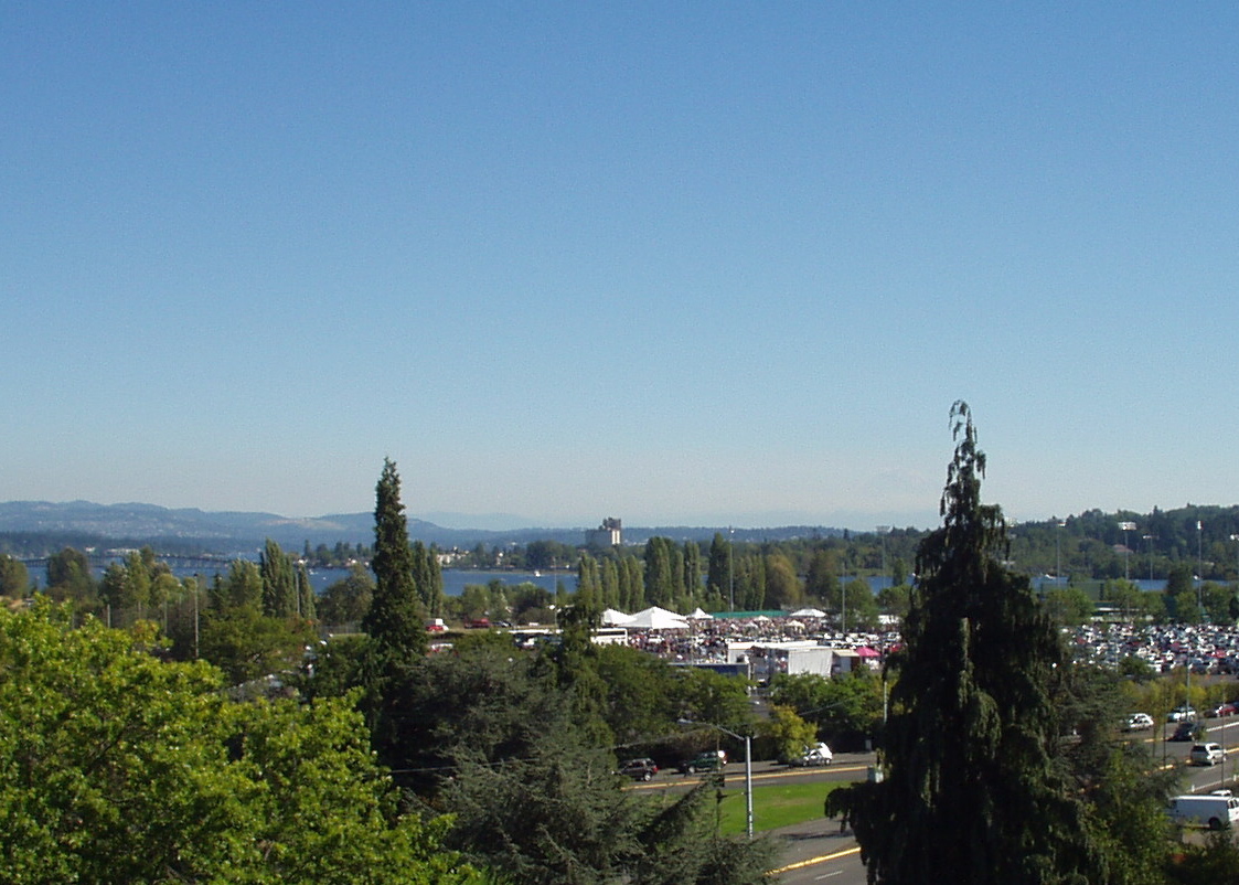 P1010007.JPG
