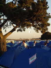 tents, tree, & city