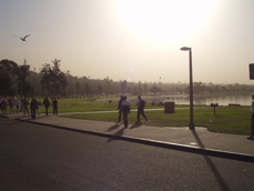 misty walk
