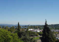 P1010007.JPG
