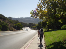 down hill walk