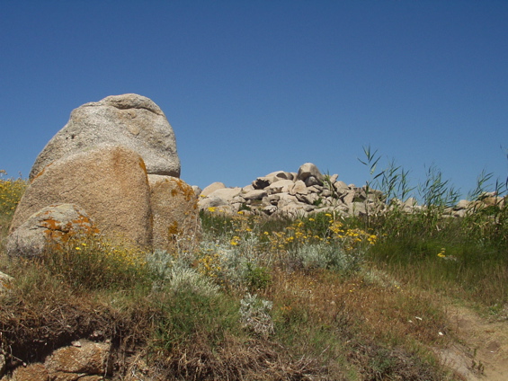 P1010038.JPG