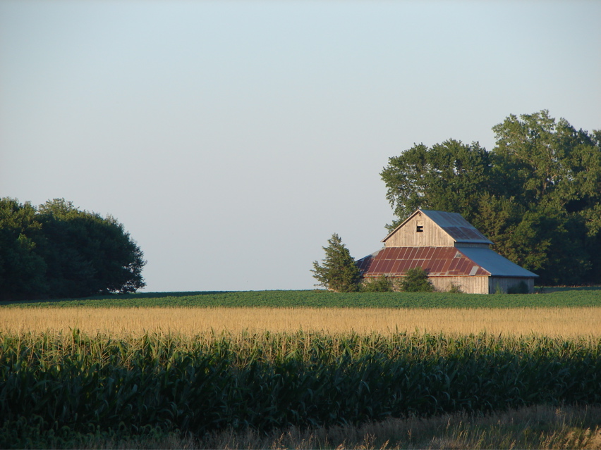 DSC03120.JPG