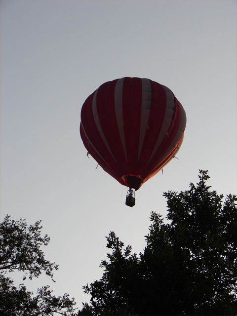 DSC04976.JPG