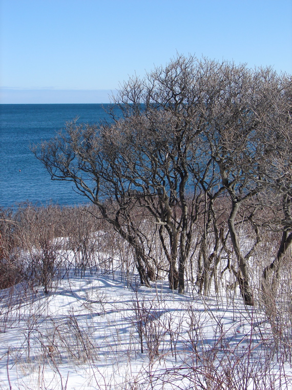 DSC03724.JPG