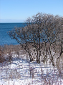 DSC03724.JPG
