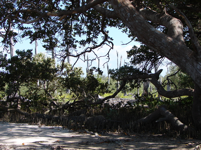 DSC01777.JPG