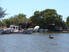 DSC01764.JPG