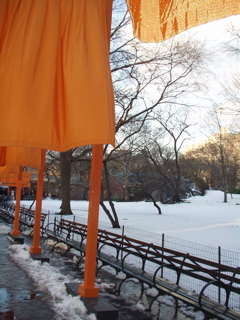 P1010031.JPG