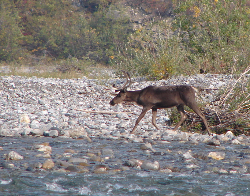 DSC00359.JPG copy