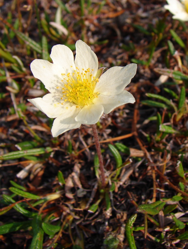 DSC00367.JPG
