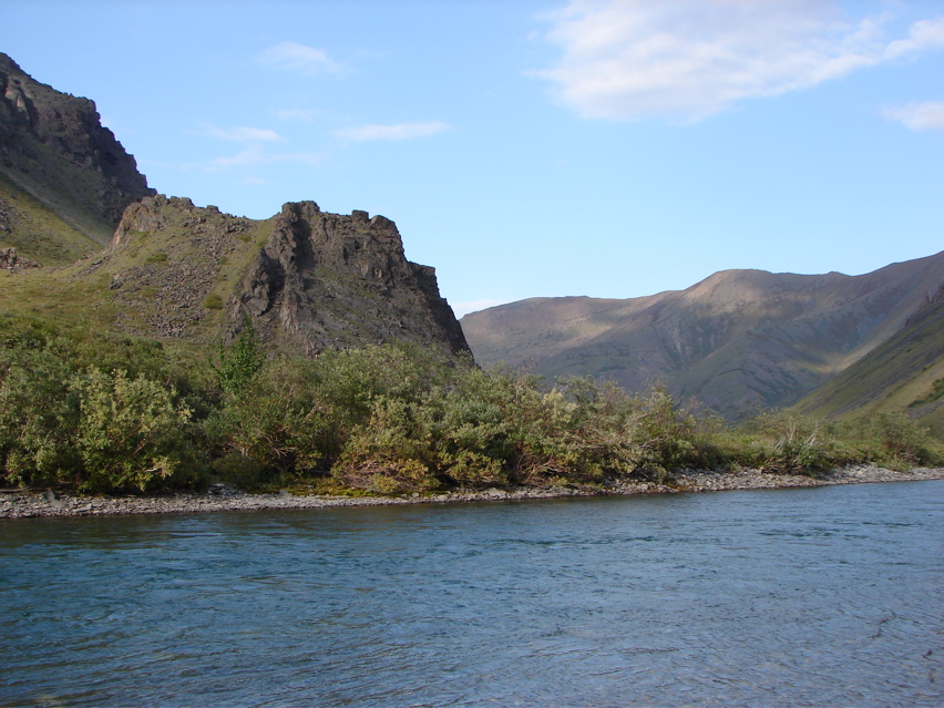 DSC00484.JPG