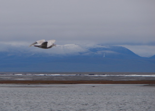 DSC00778.JPG
