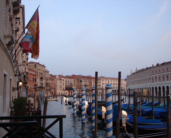DSC02411.JPG